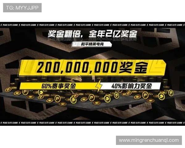 V5战队重塑自我之路：从挑战者到精英赛的蜕变与成长