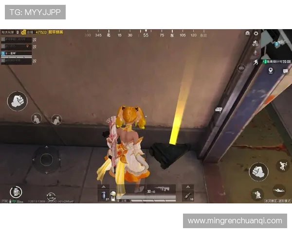 和平精英纪实：TES战队拼搏历程与荣耀瞬间的真实记录